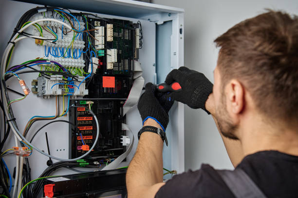Licensed Electrical Panel Upgrade service in Roanoke, AL - No Joke electrician